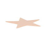 a-pound-of-flesh-micros-the-star-7-x-7 image 3