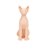 a-pound-of-flesh-sphynx-naked-cat image 1