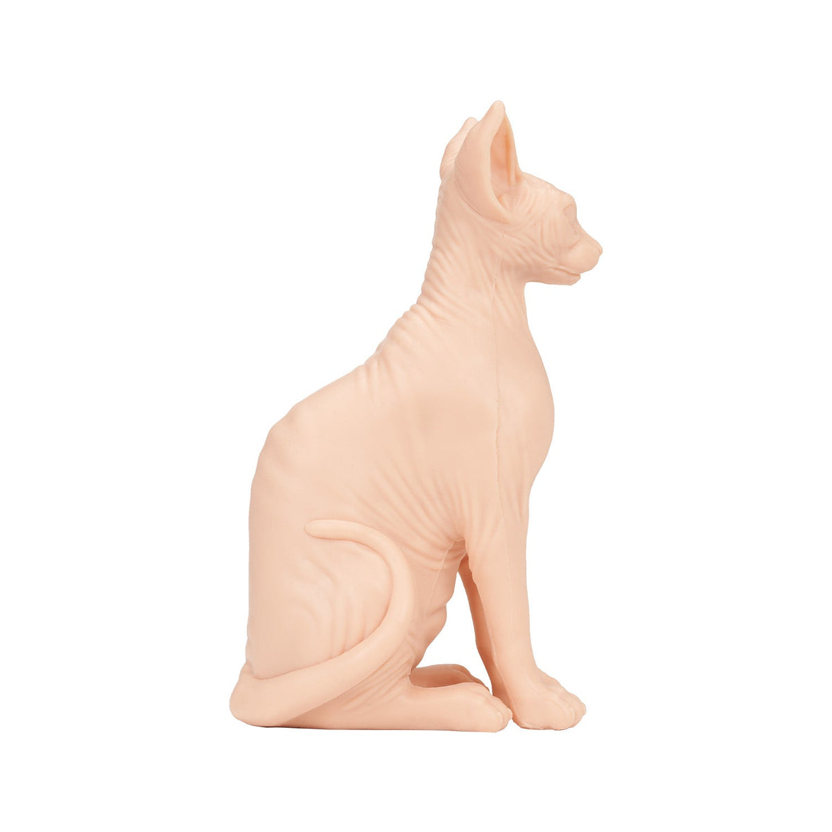 a-pound-of-flesh-sphynx-naked-cat image 3