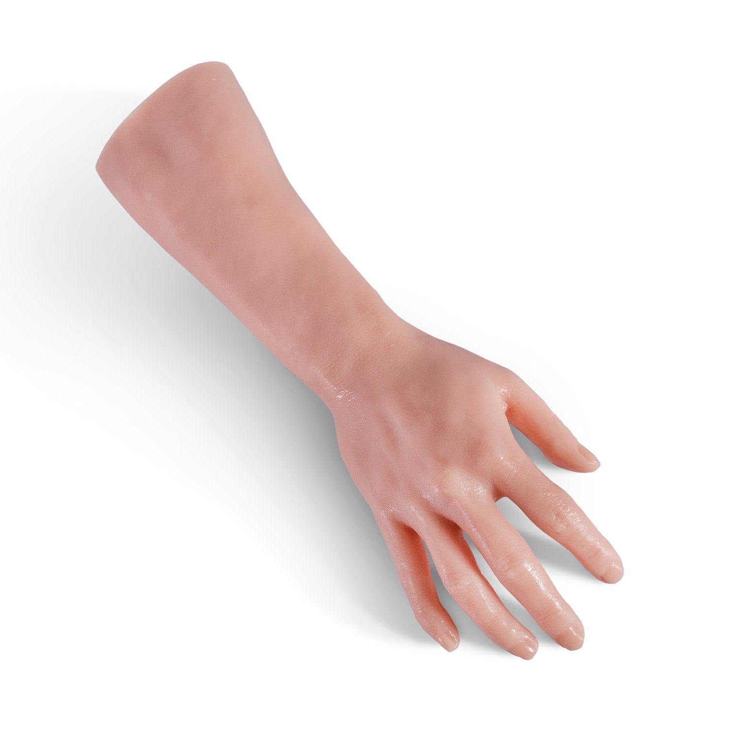 body-parts-right-hand-lower-arm image 1