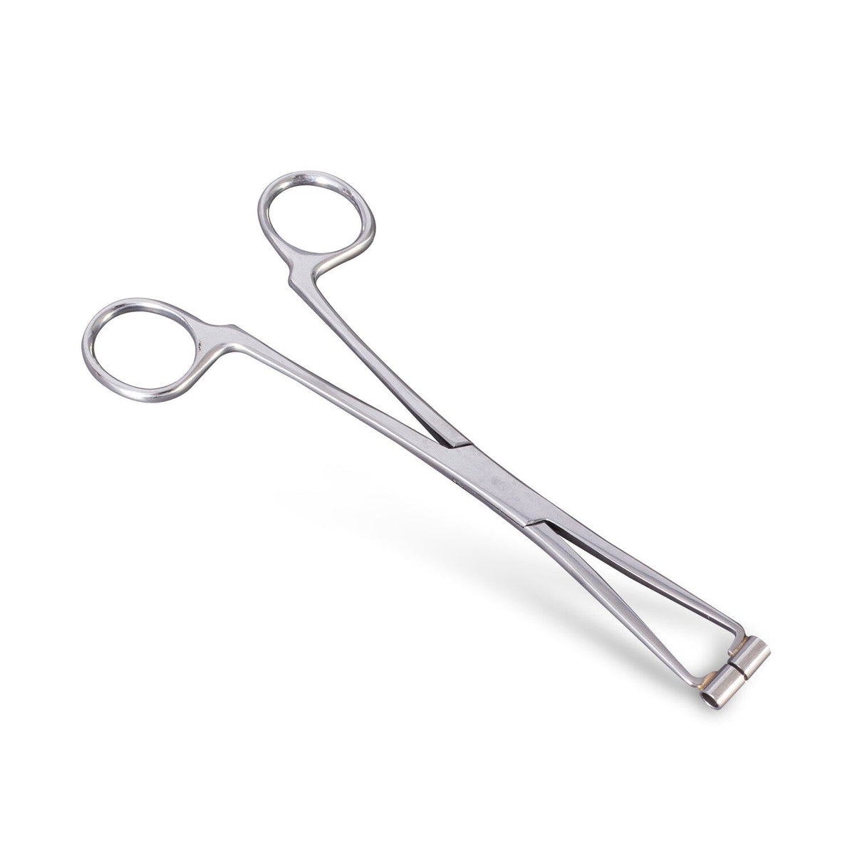 septum-forceps image 1